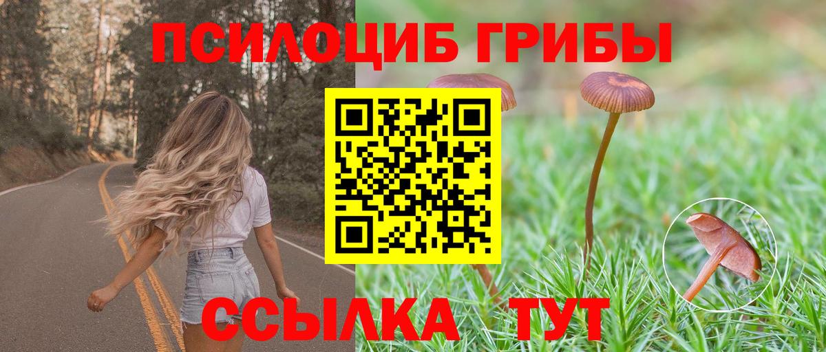 Лосино-Петровский  Галлюциногенные грибы GOLDEN TEACHER  Вход с VPN  Псилоцибиновые грибы Cubensis 